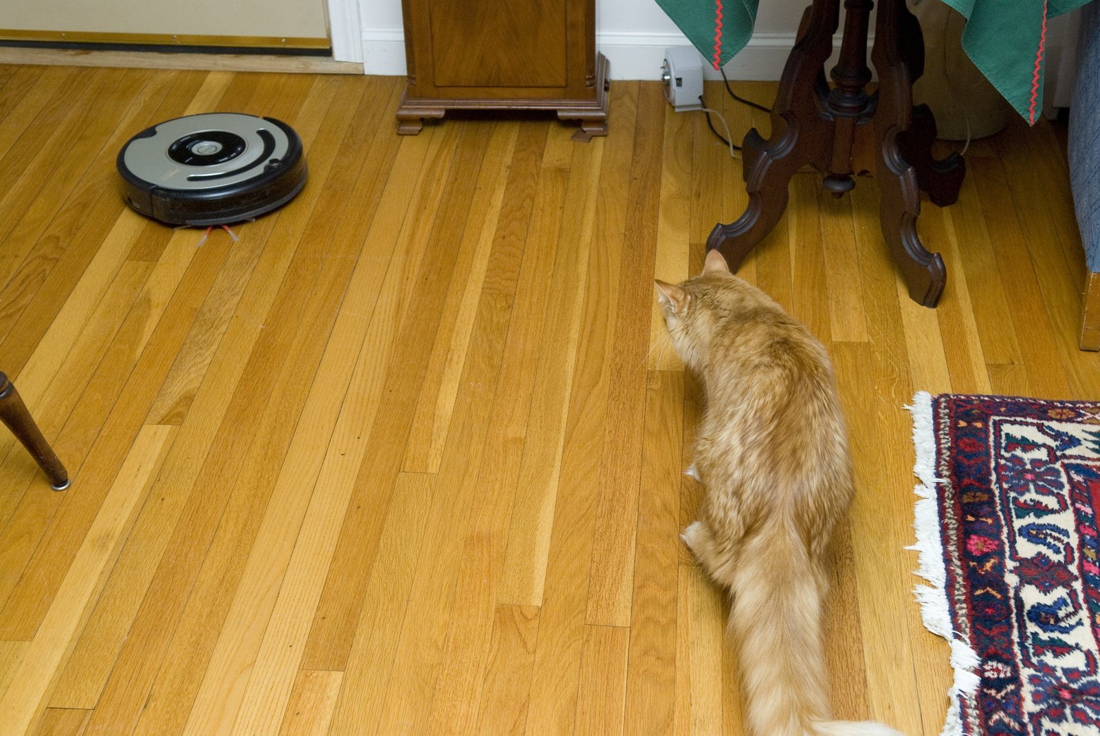 Meilleur aspirateur robot spécial poils d’animaux